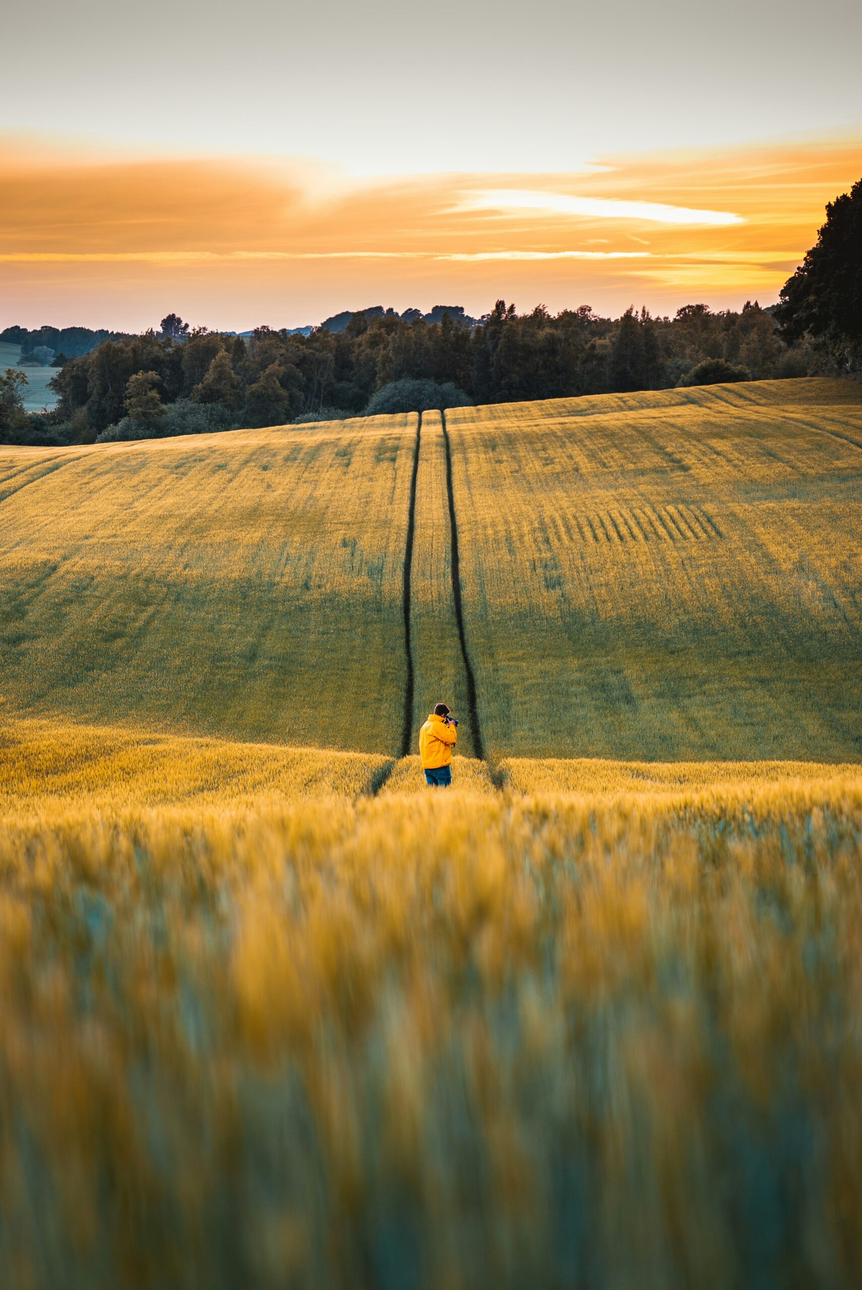 How Ag Dealers Win Through Farmer Partnerships
