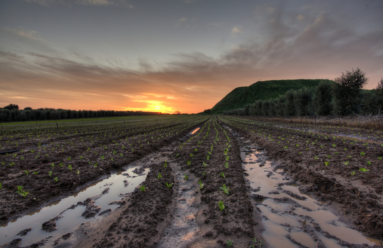 The Role of Precision Irrigation in Regenerative Agriculture